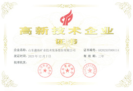 Shandong Xinhai Mining Advantages