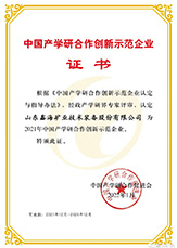 Shandong Xinhai Mining Advantages
