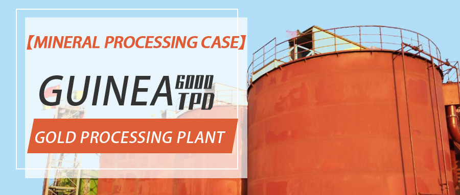 【Mineral Processing Case】Guinea 6000TPD Gold Processing Project