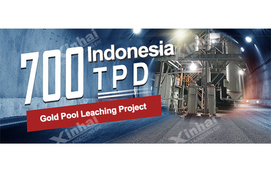 【Xinhai Case】Indonesia 700TPD Gold Pool Leaching Project