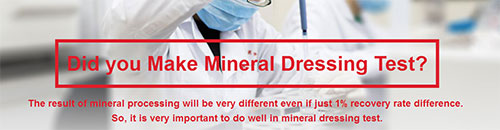 Did you Make Mineral Dressing Test?