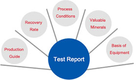 Mineral Processing Test Report
