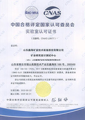 Shandong Xinhai Mining Advantages