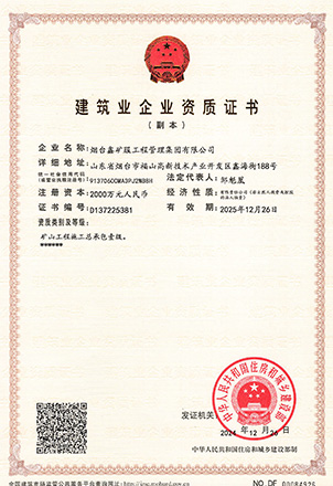 Shandong Xinhai Mining Advantages